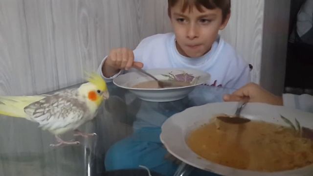 Корелла ест суп