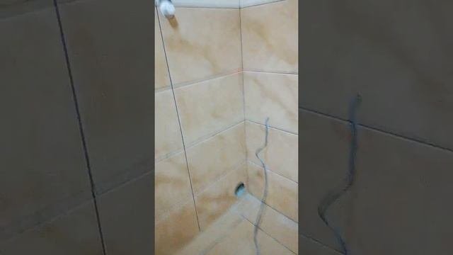 Как сделать так чтобы не чернел потолок и не было сырости между натяжным и основным потолком.