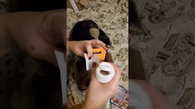 Распаковка УФ лампа ReptiGlo 10.0 от Rozetka