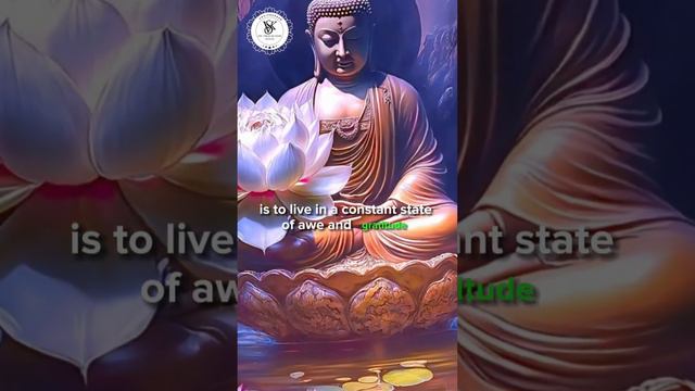 View the world with wonder,live in perpetual awe and gratitude Gautam Buddha #shortsfeed
