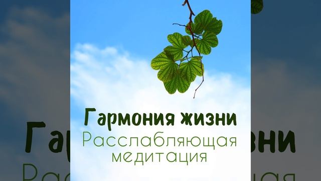Внутренним миром