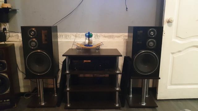 Акустика Victor 30 fx