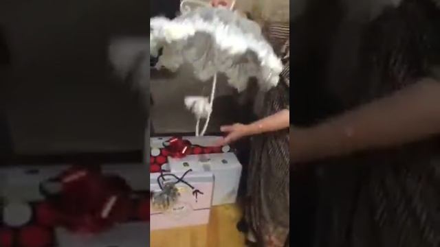 Даргинское сватовство