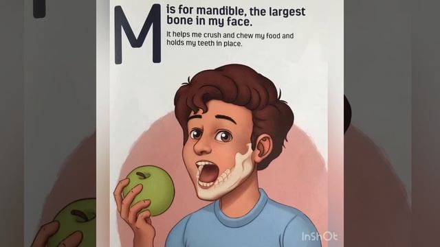 Story Time Video - B is for Biceps: Anatomy for Children