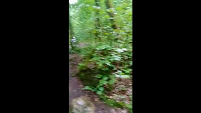 Водопад Руфабго. Республика Адыгея.