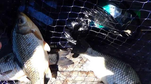 Рыбалка на Паук-подъемник, на новом мостике.