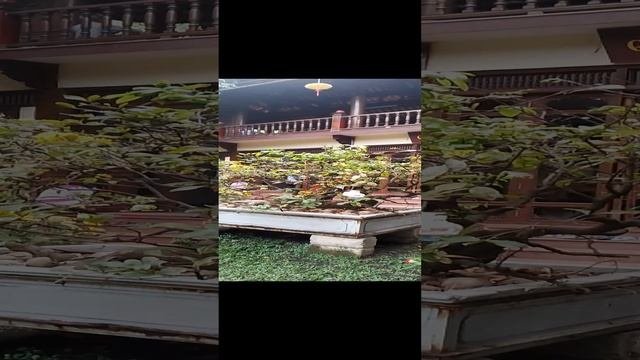 Huu-Truong Yandex — смотреть онлайн видео, бесплатно! Huu-Truong Yandex | Huutruongкью.com.vn | Дзен