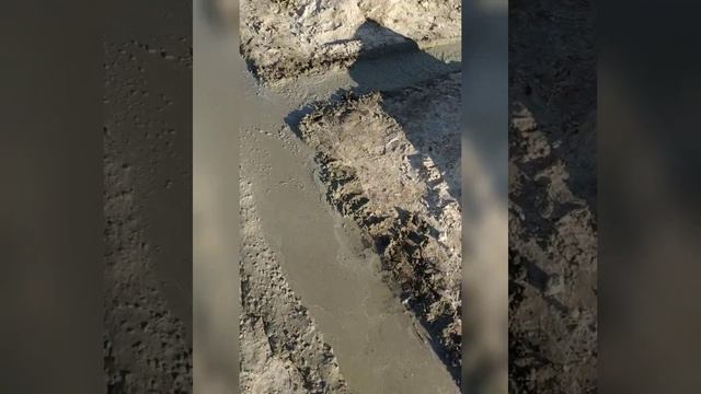Заливаем фундамент дома и наконецто дорисовала план дома с планировкой жду ваши пожелания советы