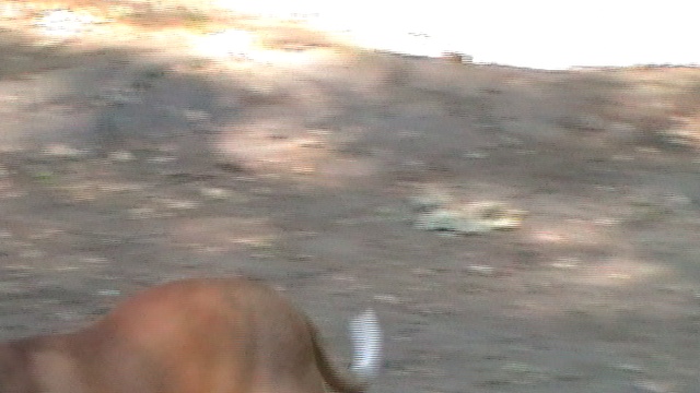 20100619_154946