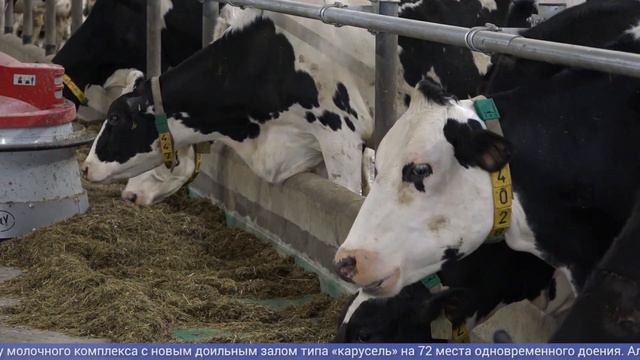 Губернатор посетил "Племзавод Рабитицы"
