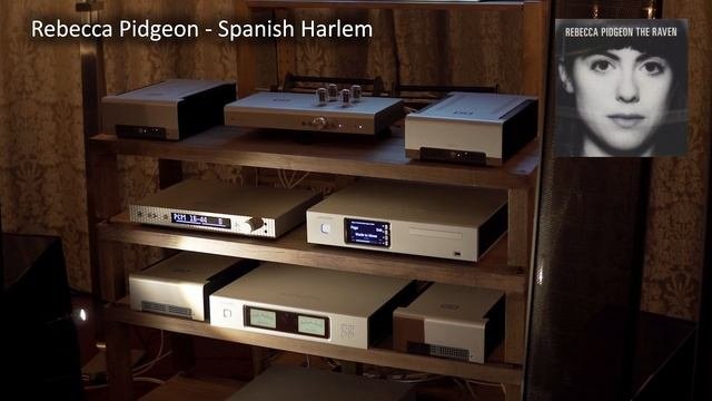 Электростатическая акустика Martin Logan Renaissance ESL 15A бинауральные записи