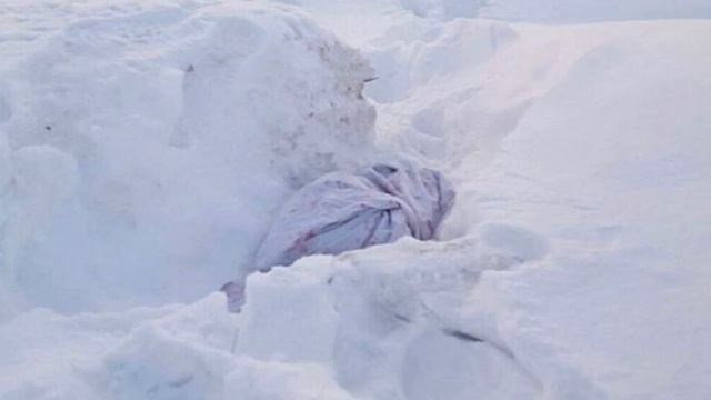 Люди нашли сверток в снегу! Что было внутри? Повергло всех в шок!