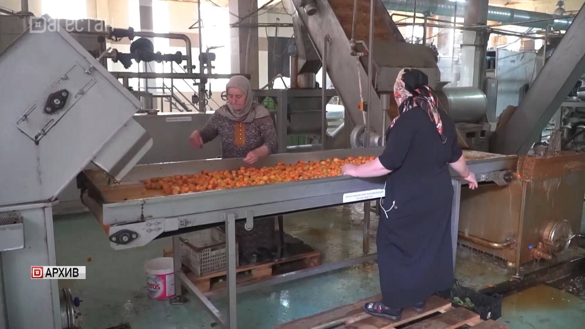 Дагестанский консервный завод ввел в строй новую линию по производству компотов