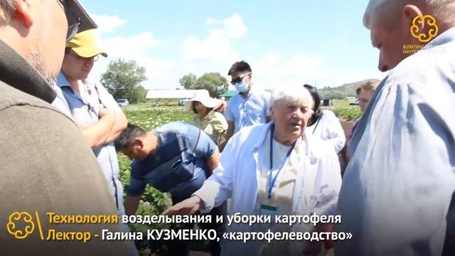 Технология возделывания и уборки картофеля