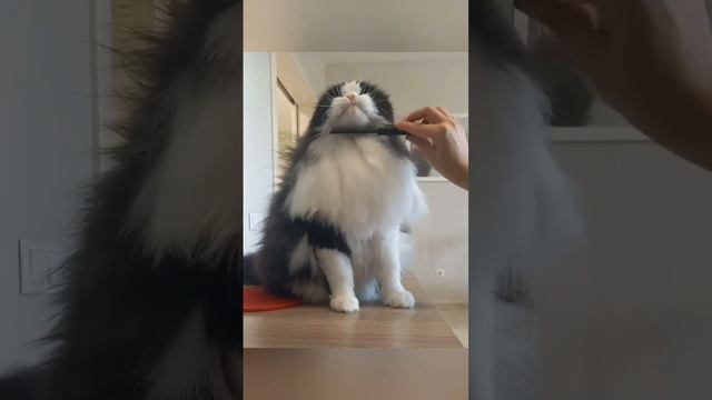 Недовольный клиент
