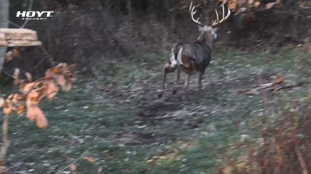 Using Calls When Deer Hunting, What We've Learned Through Success And Failure | Midwest Whitetail