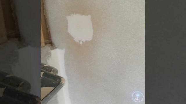 Декор из  Шпаклевки в Зимнем Саду