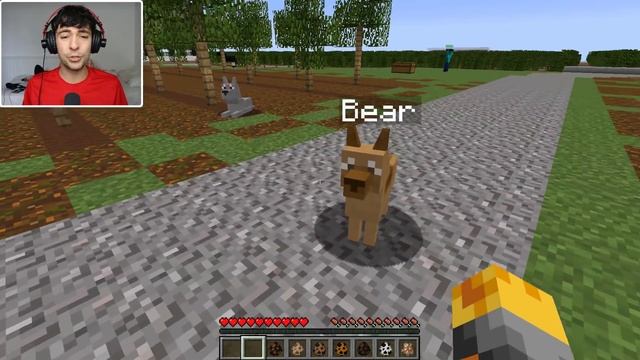 Minecraft DOGS MOD / PLAY AND BREED DOGS AND WATCH THEM GROW!! Minecraft