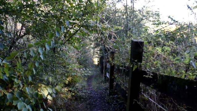 Balade promenade Fléron - Magnée - Le Fond du Pucet