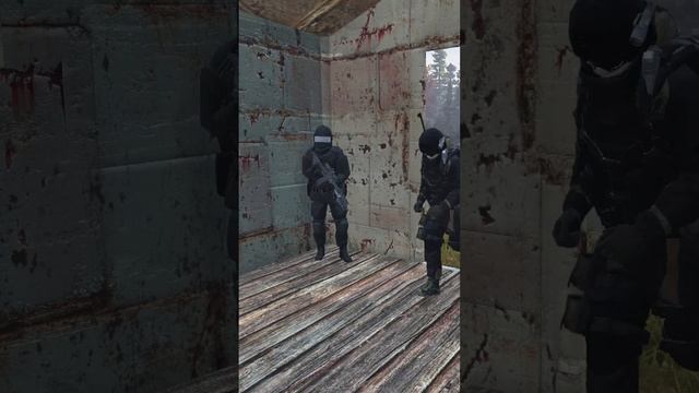 #stalkerrp ?Наёмники берутся за работу?