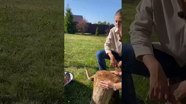 Анонс