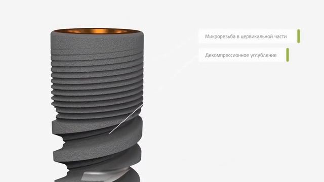 Зубные импланты виды. ? О некоторых видах зубных имплантов ROOTT.