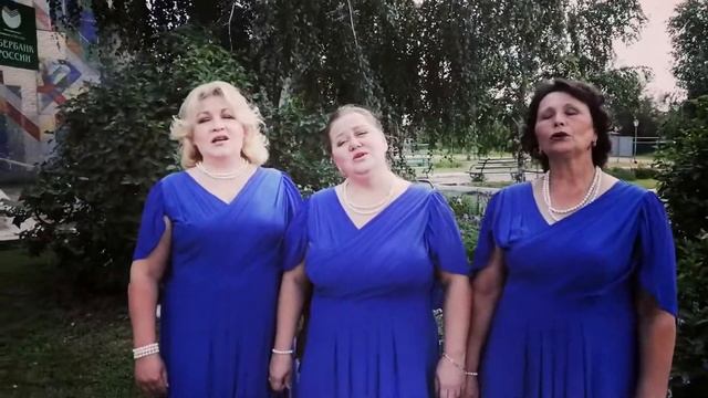 Деревенька. Тио "Рябинушка" Костино-Быстрянский сельский Дом Культуры.