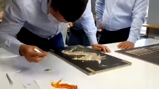 Антон Алиханов собрал янтарную мозаику