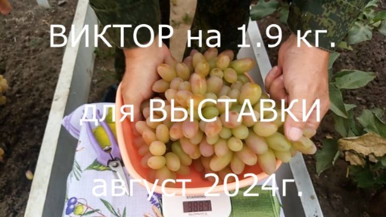 ВЫСТАВКА и подготовка к ней 2024г.