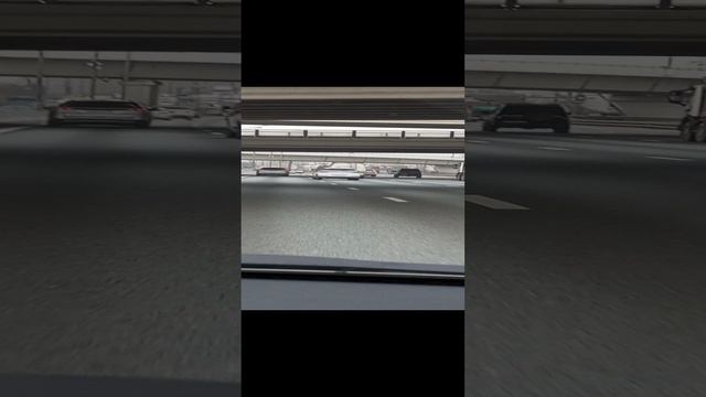 Москва огромный муравей