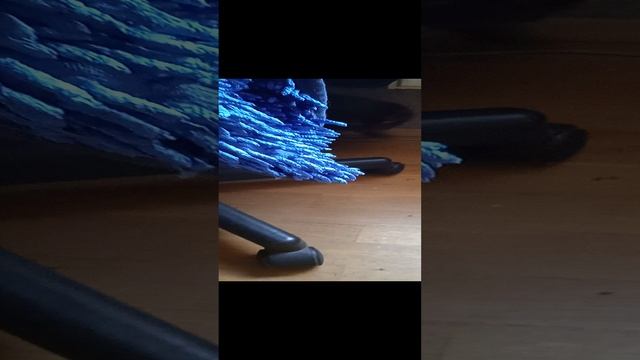 VID_20230828_144116.mp4