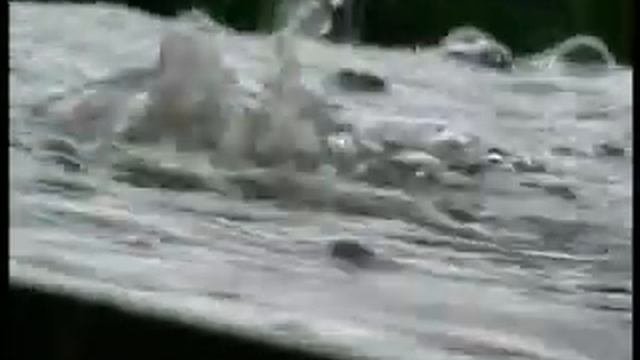 Майский дождь
