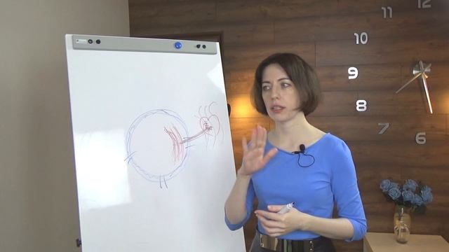 Наши эмоции