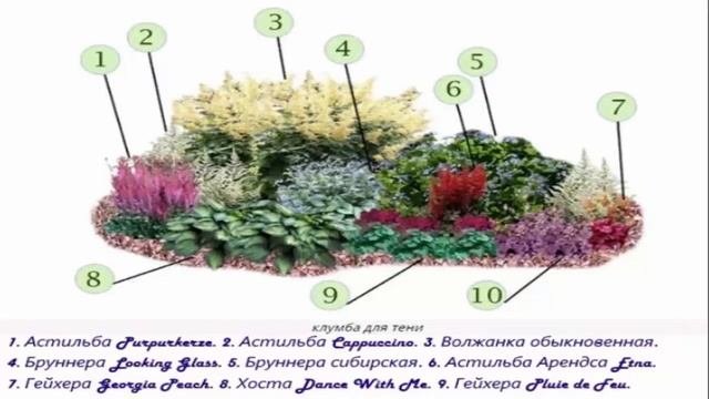 Как обустроить цветник чтобы радовал глаз.