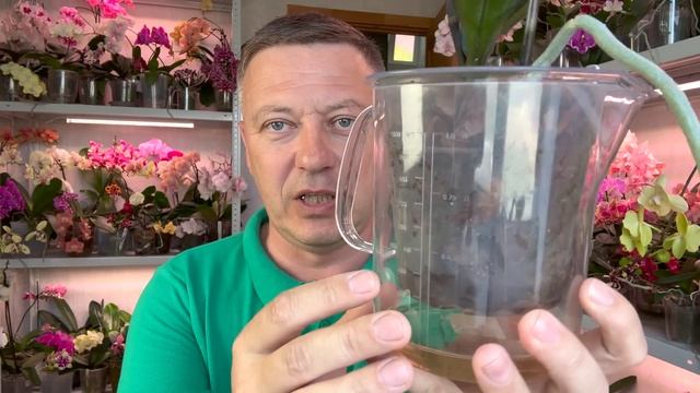 правда про АМИНОСИЛ для орхидей ОЖИДАНИЯ и РЕАЛЬНОСТЬ // конец тесту орхидей