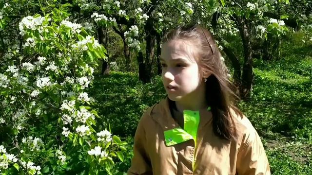 Lisa. The Art of Mimicry in Nature