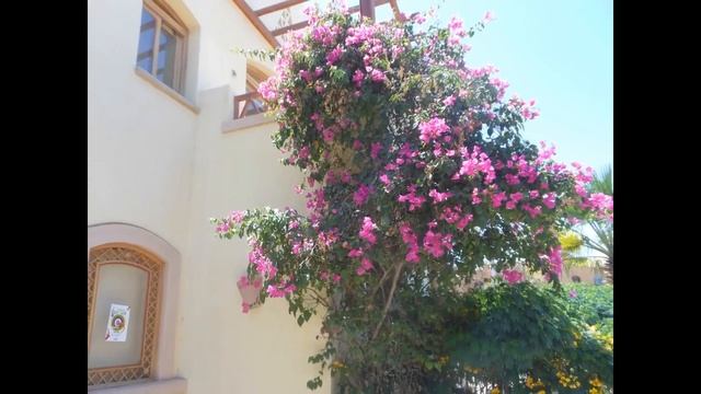 El Gouna - Venice in Egypt!