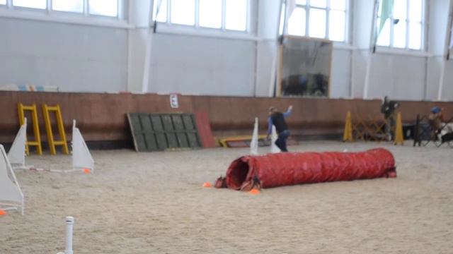 НКП "Русь" Д-0 Каталымова Юлия и Кавалер кинг чарльз спаниель ТЭМ ГОДСЕНД ЛАНД К