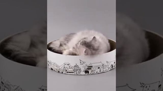 ⚡💥🔥 Когтеточка лежак для кошек гофрированный на Алиэкспресс