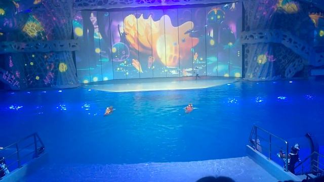 Затерянный мир. Москвариум. Моржи. 13.01.2018