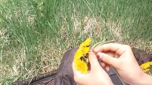 Венок из одуванчиков