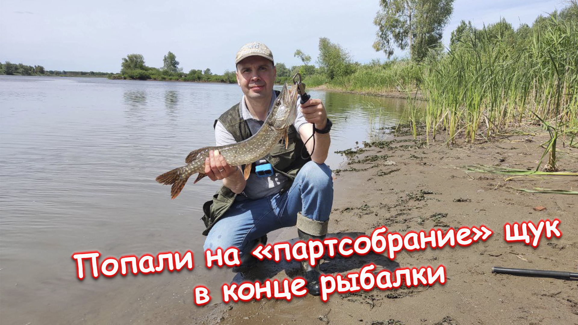 Так много щук давно не ловили! Рыбалка в Кам Полянах в июне 2023г.