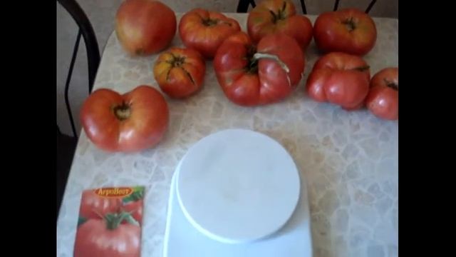 Помидор ранний розовый.