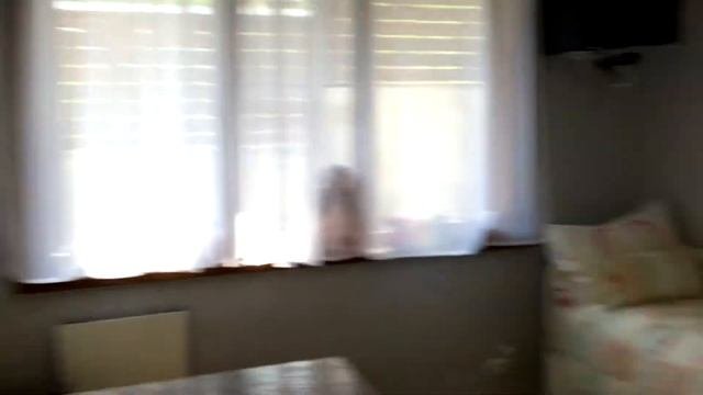 Просторная студия с ремонтом в центре Красной Поляны