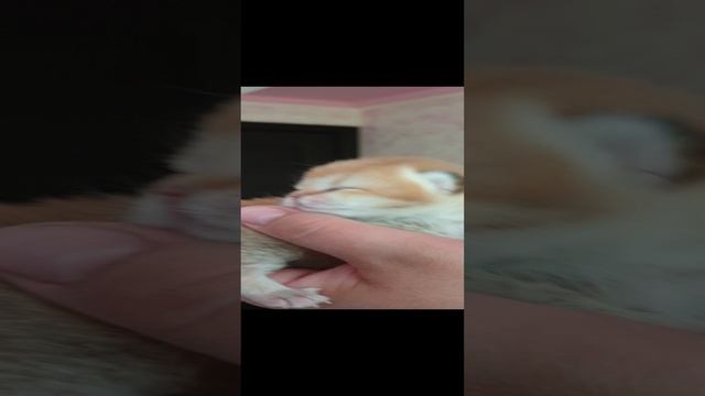 Милый малыш