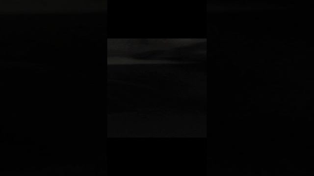 сделал всё для кота.