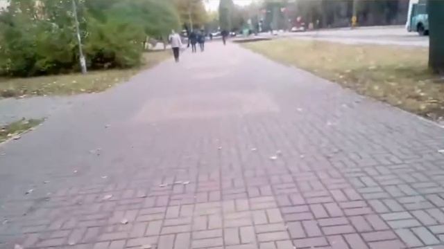 VLOG попросили с ездить в магазин Светофор за наполнитель для кота