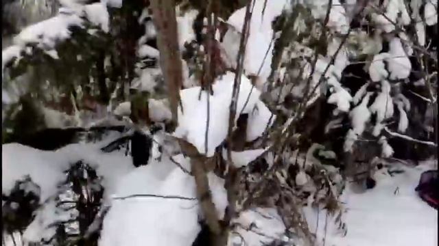 От севера на восток.