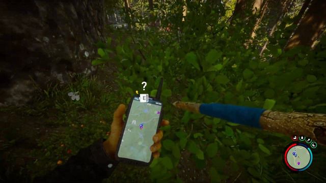 Sons of the Forest Coop - Part 1  Gameplay PC  No Commentary