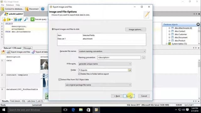 An introduction to SQL Image Viewer